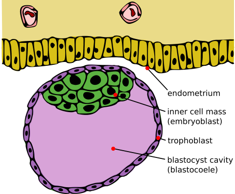 topics-fig